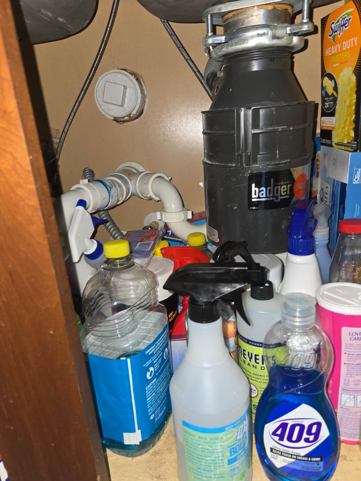 Water heater flush maintenance in Land O' Lakes, FL 34639 home