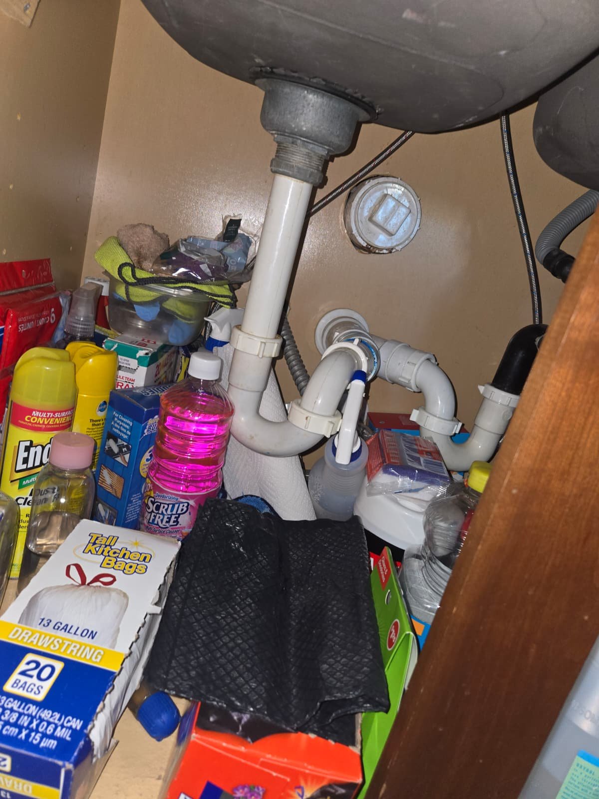 Routine plumbing system check in Land O' Lakes, FL 34639 residence