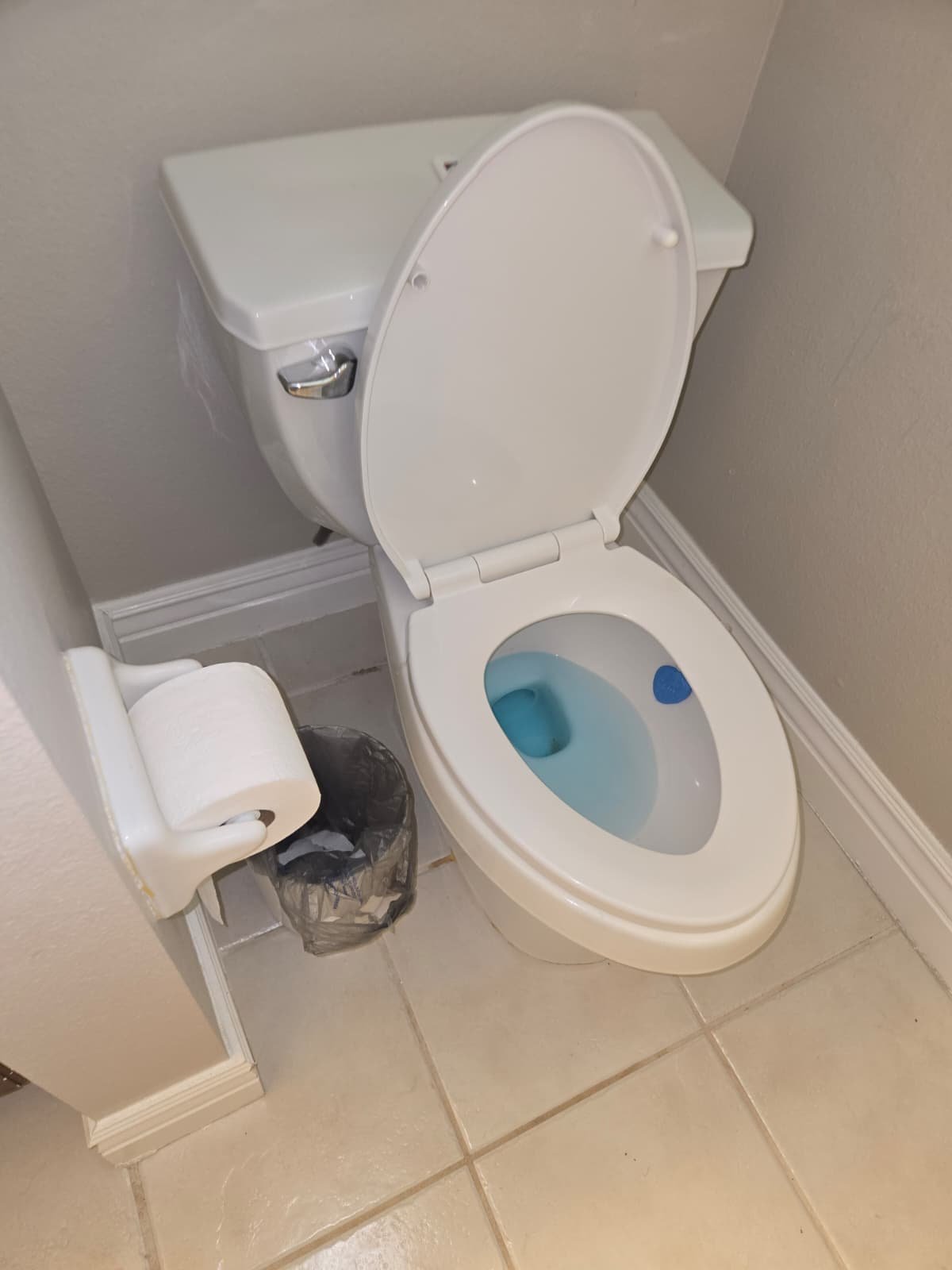 Plumbing inspection service visit in Land O' Lakes, FL 34639