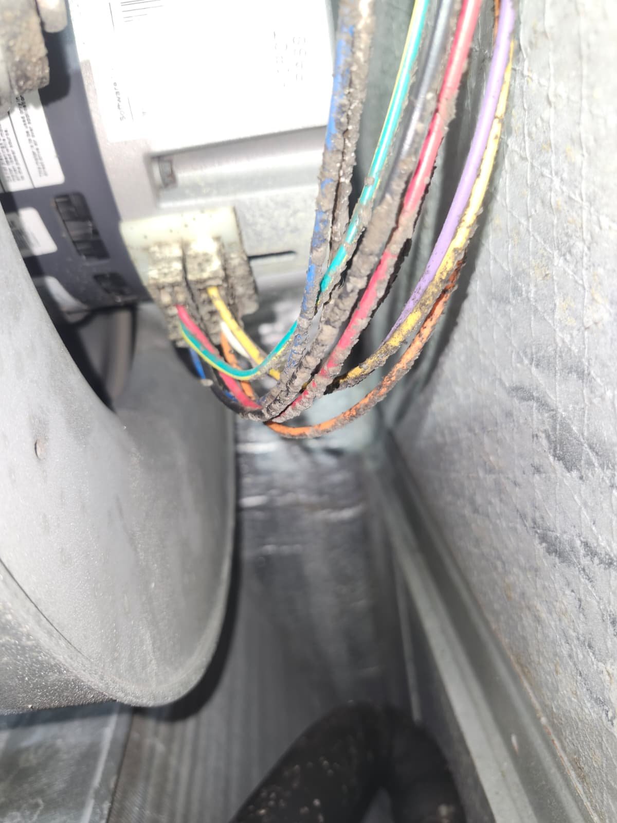 AC tune-up and UV mold control in Gibsonton, FL 33534