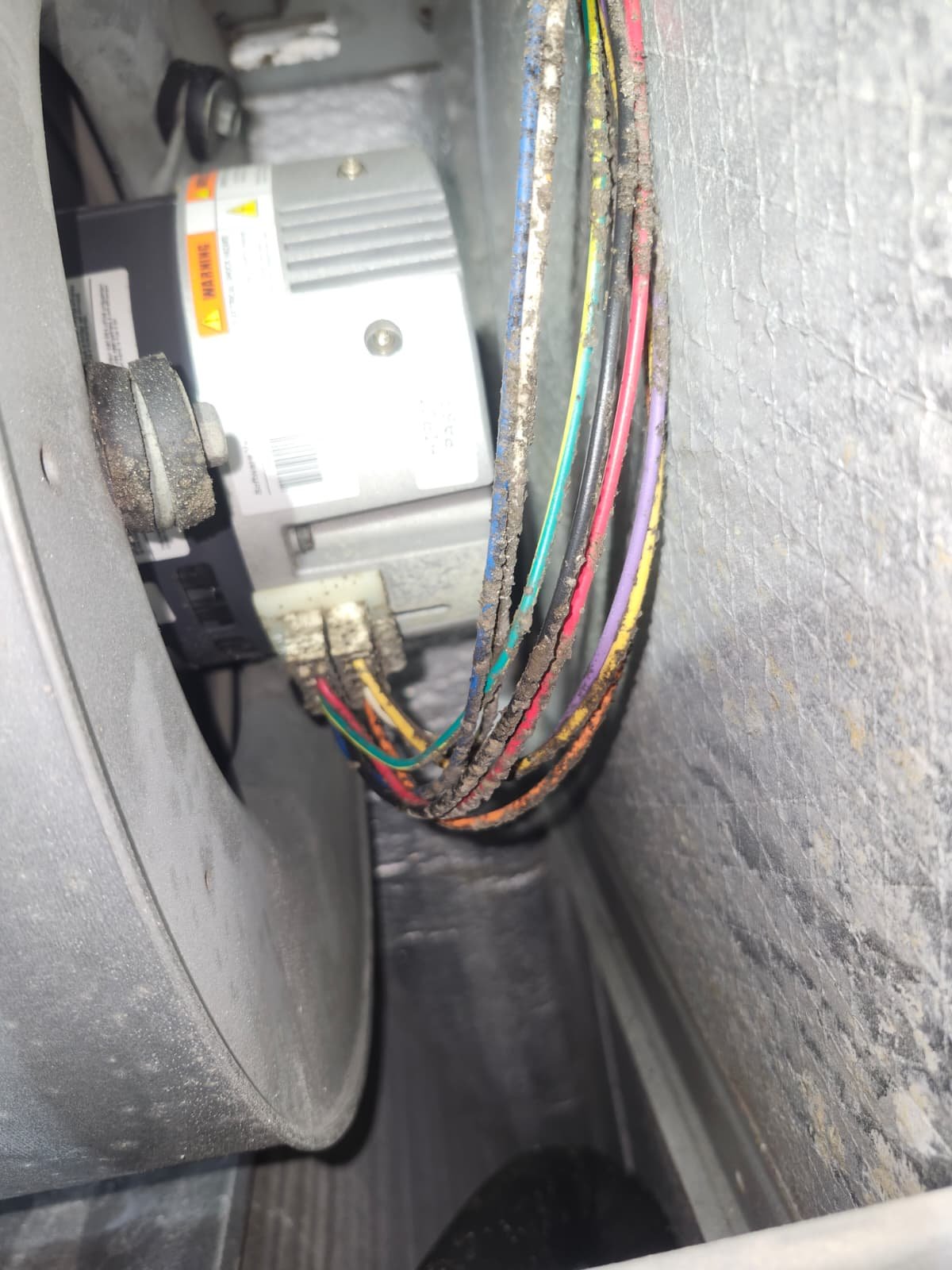 AC tune-up with coil cleaning in Gibsonton, FL 33534