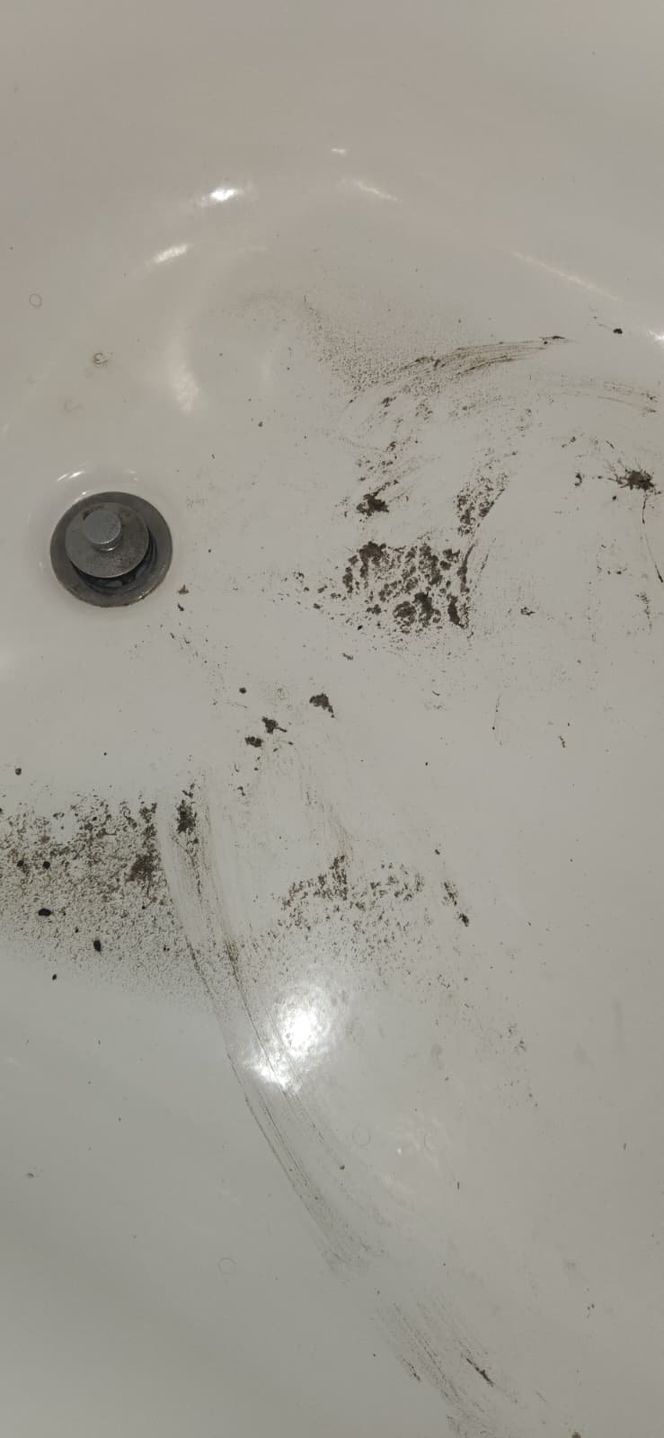 Sewer drain unclogging in Tampa, FL 33615