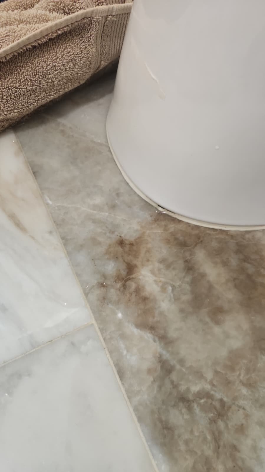 Sewer drain cleaning and unclogging in Tampa, FL 33615