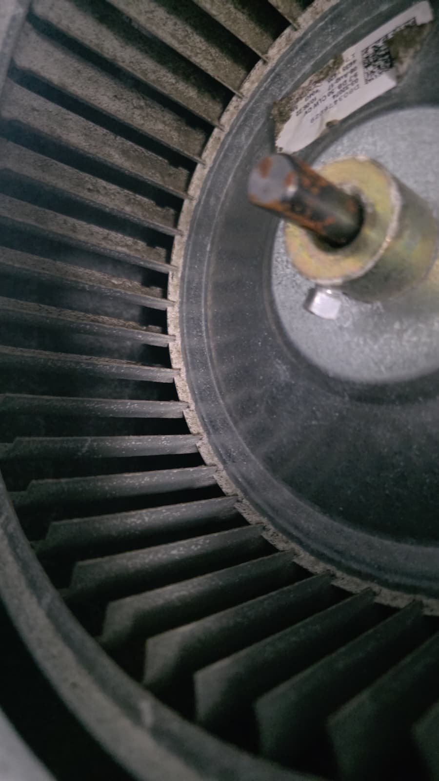 System maintenance in Tampa, FL 33615