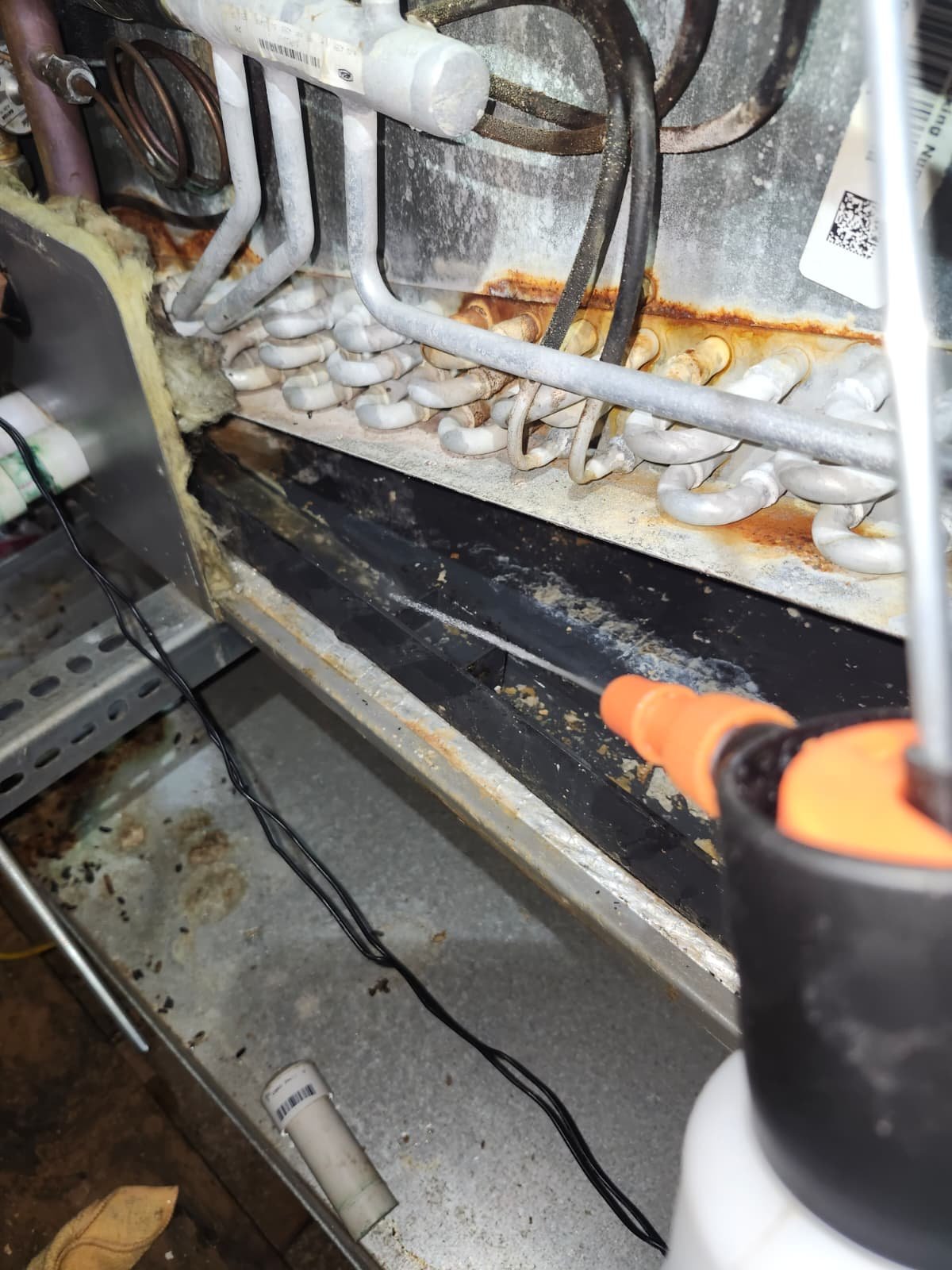 Indoor air quality focused A/C system cleaning in Tampa, FL 33624