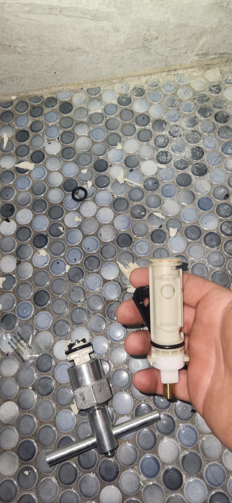 Moen shower valve installation Wesley Chapel, FL 33545