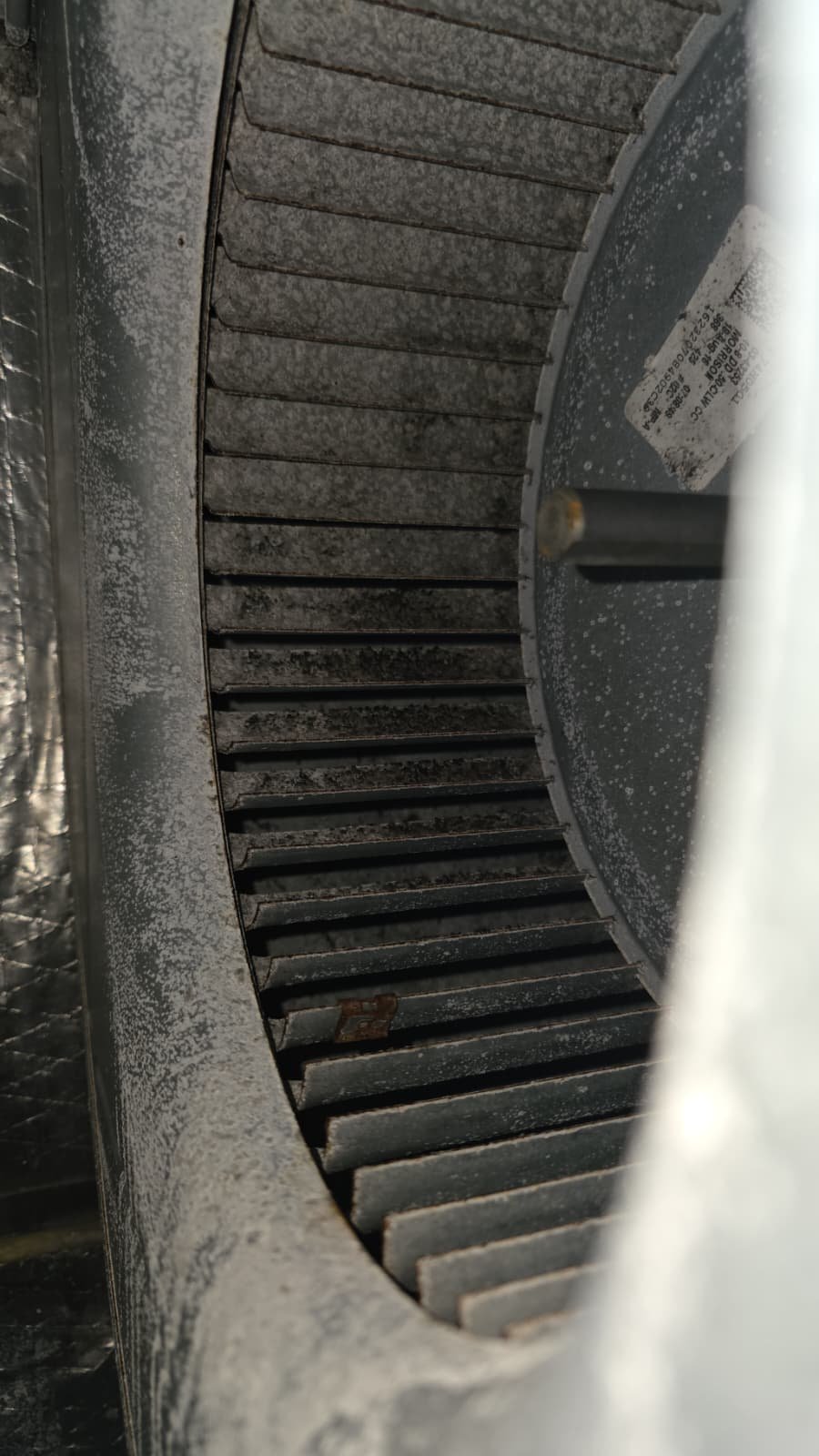 UV light and AC system inspection during premium HVAC service in Wimauma, FL 33598