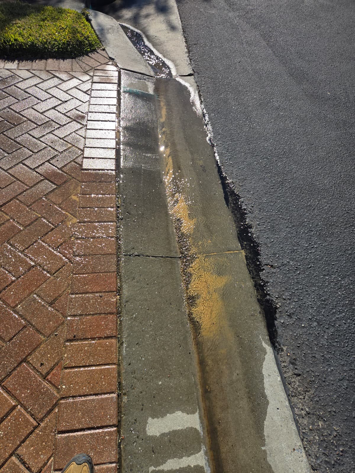 Completed water heater flush and safety report in Wimauma, FL 33598 residence