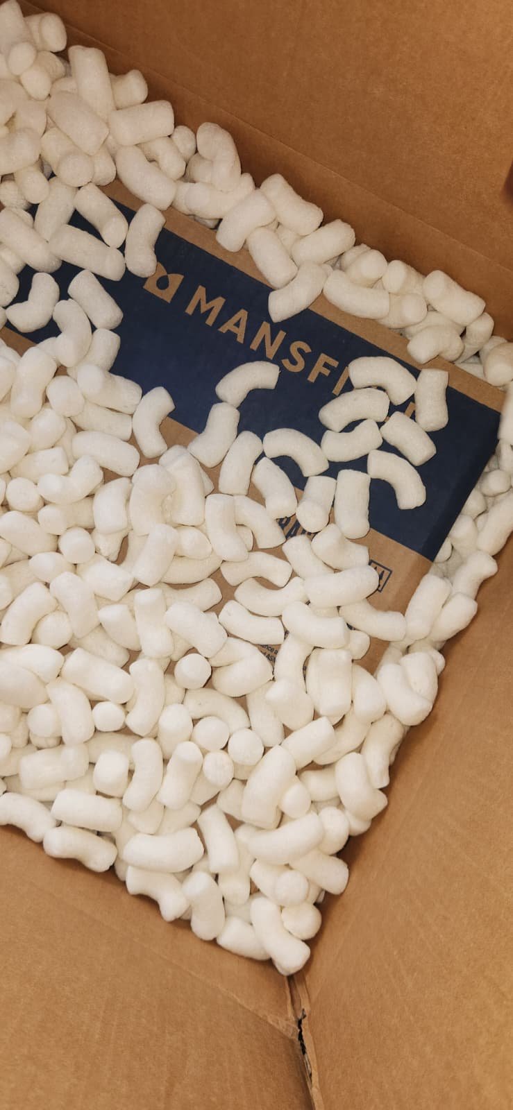 Toilet flange replacement in Tampa, FL 33647