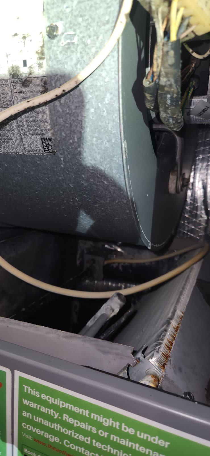 Tank water heater flush and sediment cleaning in Tampa, FL 33602