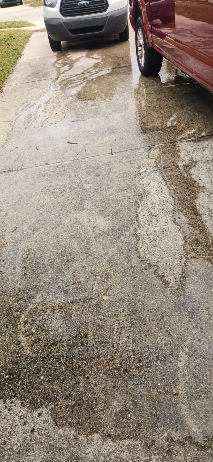 Water heater flush and inspection in Tampa, FL 33625