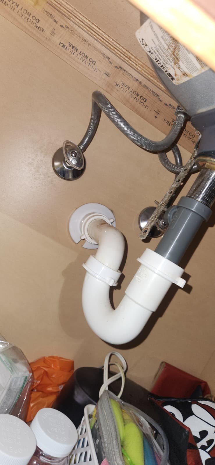 Routine plumbing inspection in Tampa, FL 33625