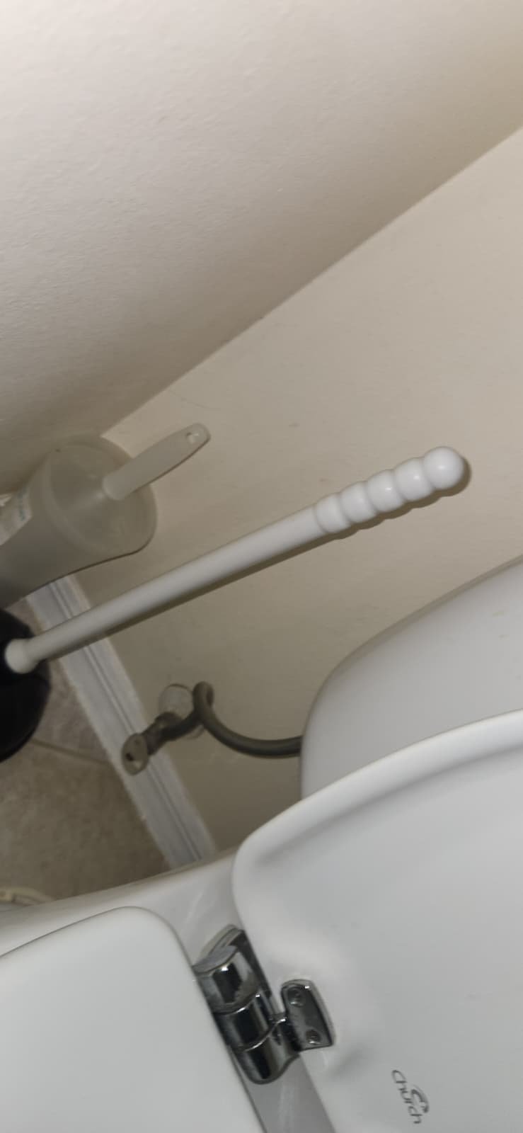 Water heater flush and plumbing in Tampa, FL 33625