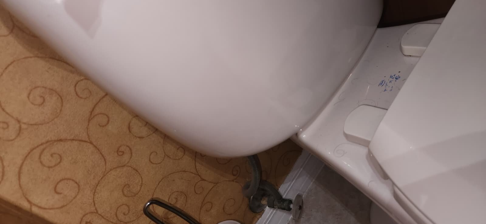 Whole home plumbing inspection in Tampa, FL 33625