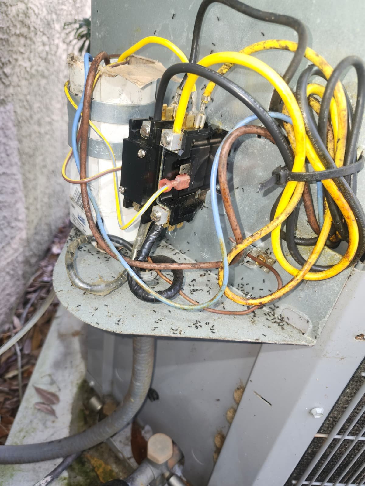 AC repair with new capacitor in Tampa, FL 33625