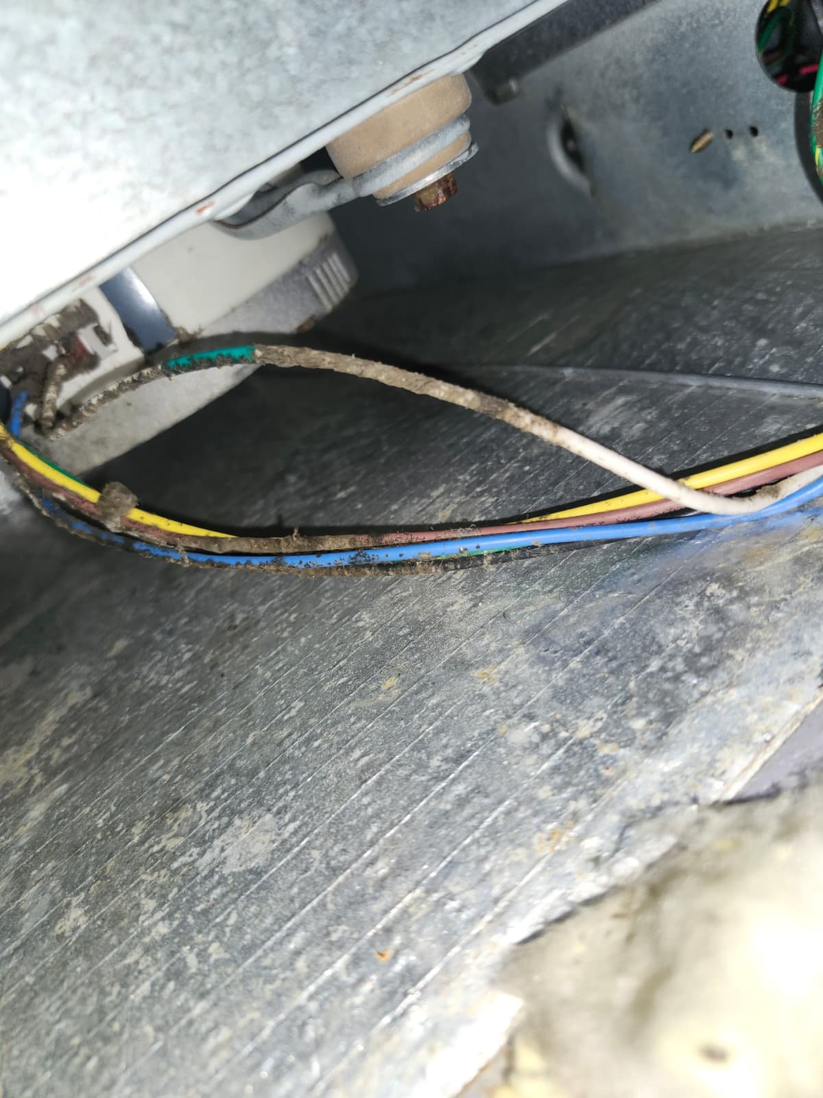 Cooling system tune-up in Riverview, FL 33578