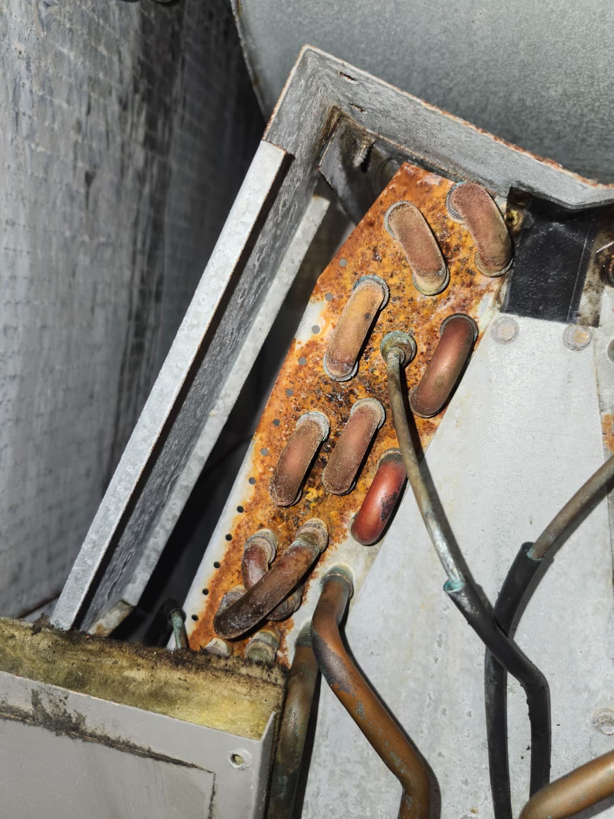 AC maintenance service Tampa, FL 33647