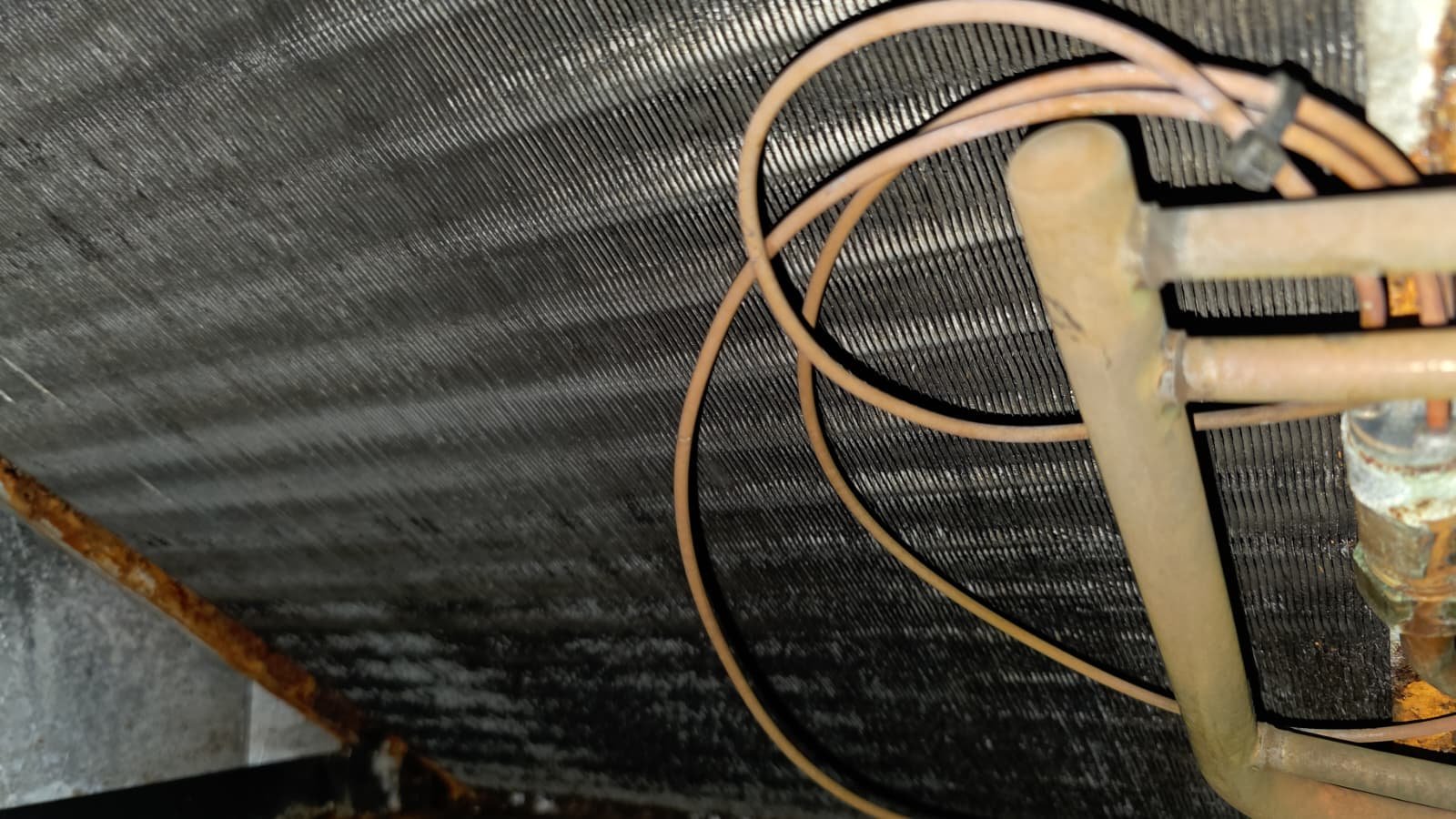 Commercial HVAC quarterly maintenance on rooftop unit in Tampa, FL 33610