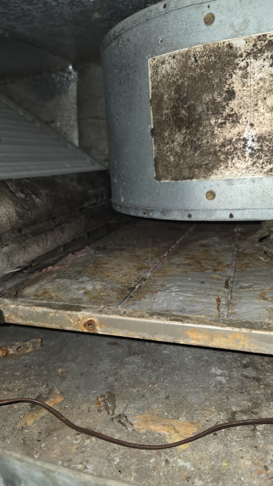 Verifying refrigerant pressures during commercial HVAC maintenance in Tampa, FL 33610