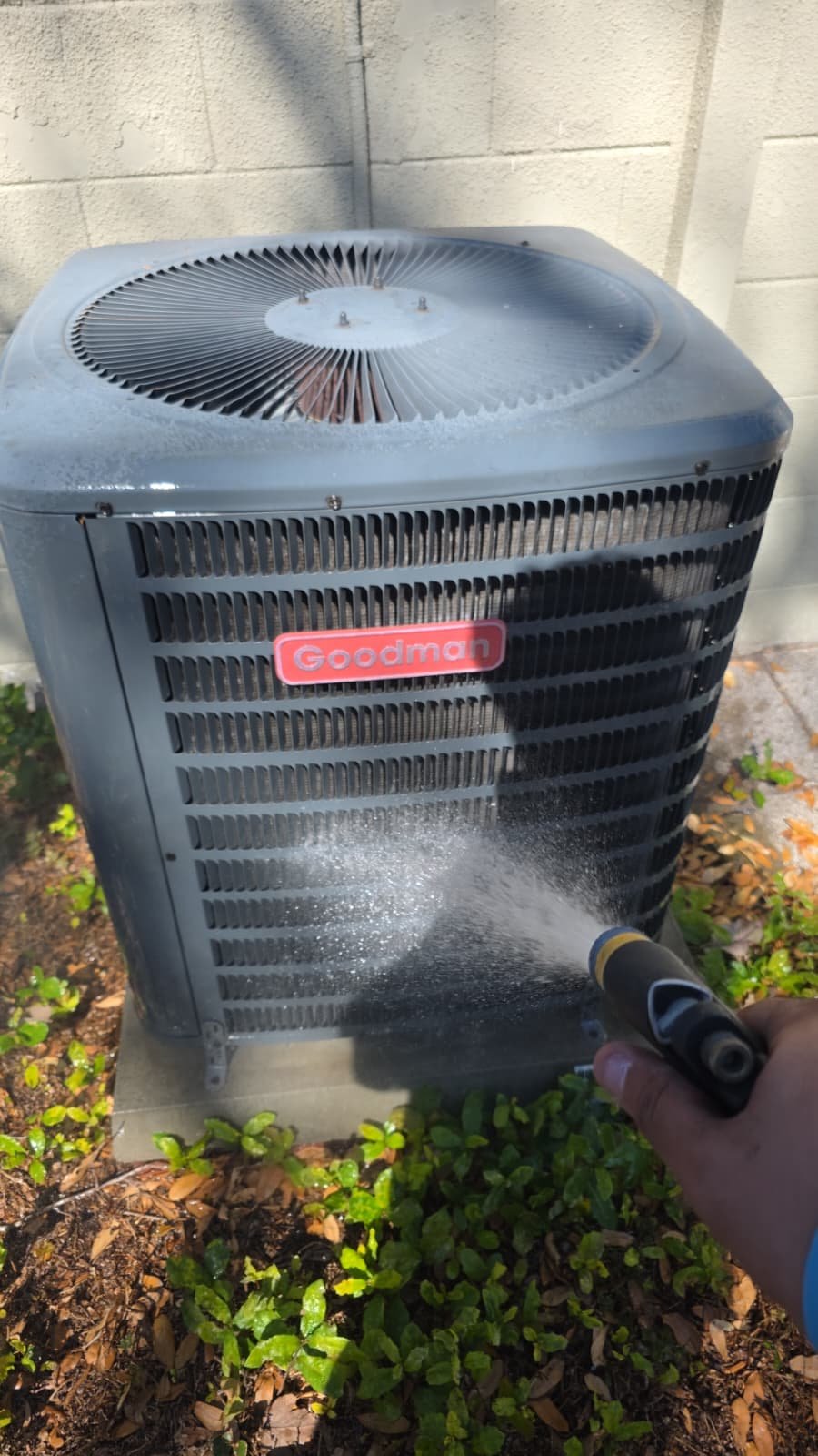 Drain line cleaning as part of AC maintenance in Pinellas Park, FL 33782