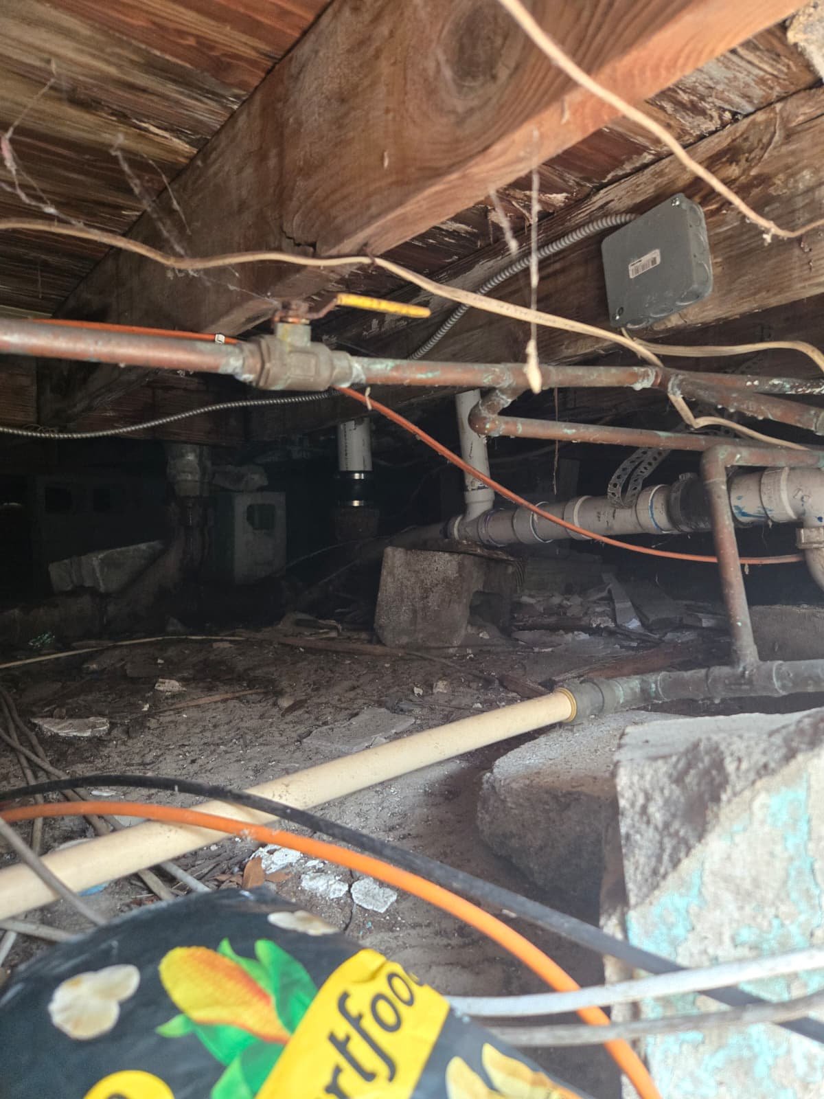 Main drain line service with heavy-duty snake at Tampa, FL 33610 property cleanout