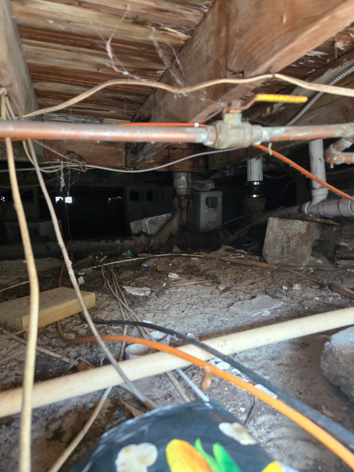 Completed drain cleaning after running snake through cleanout in Tampa, FL 33610