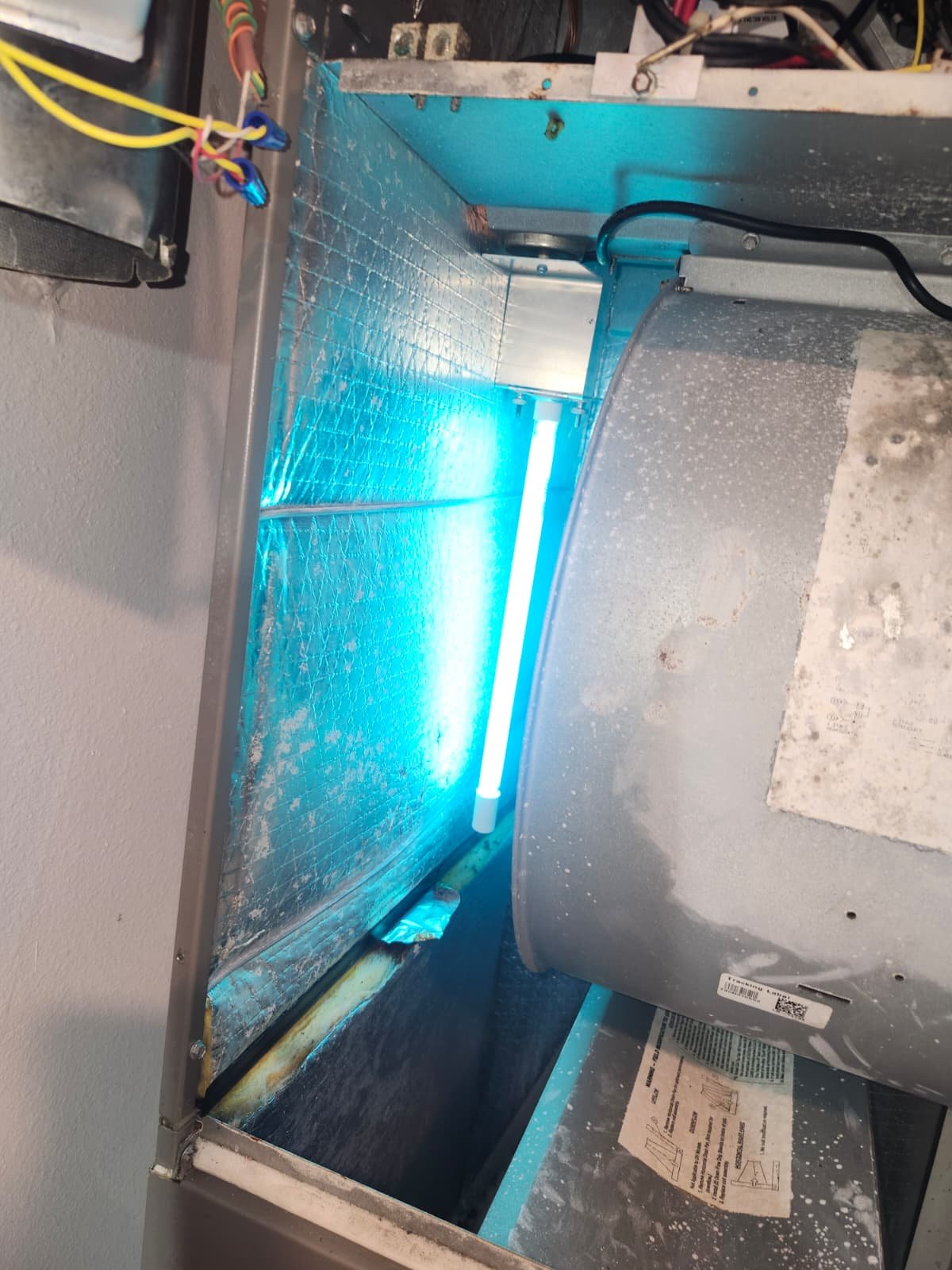 Duct cleaning recommendation in Land O' Lakes, FL 34638