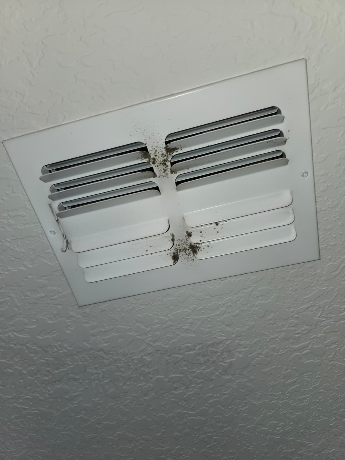 AC maintenance check in Land O' Lakes, FL 34638
