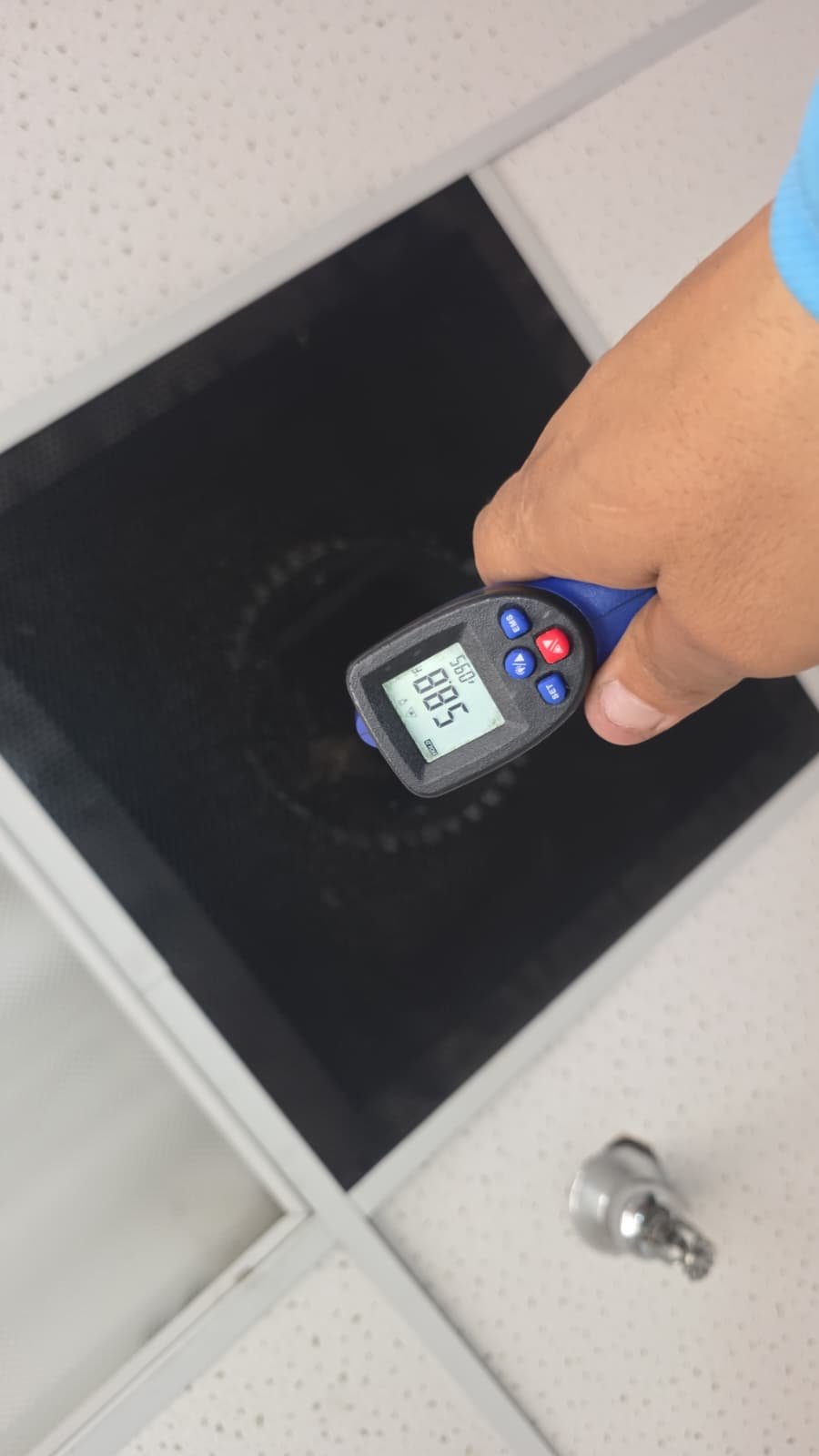 Quarterly maintenance service in Tampa, FL 33634