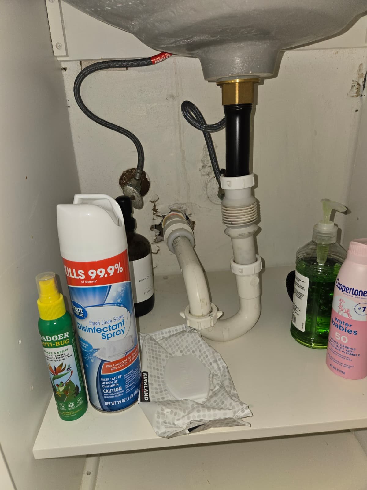 Moen faucet replacement in Brandon, FL 33511