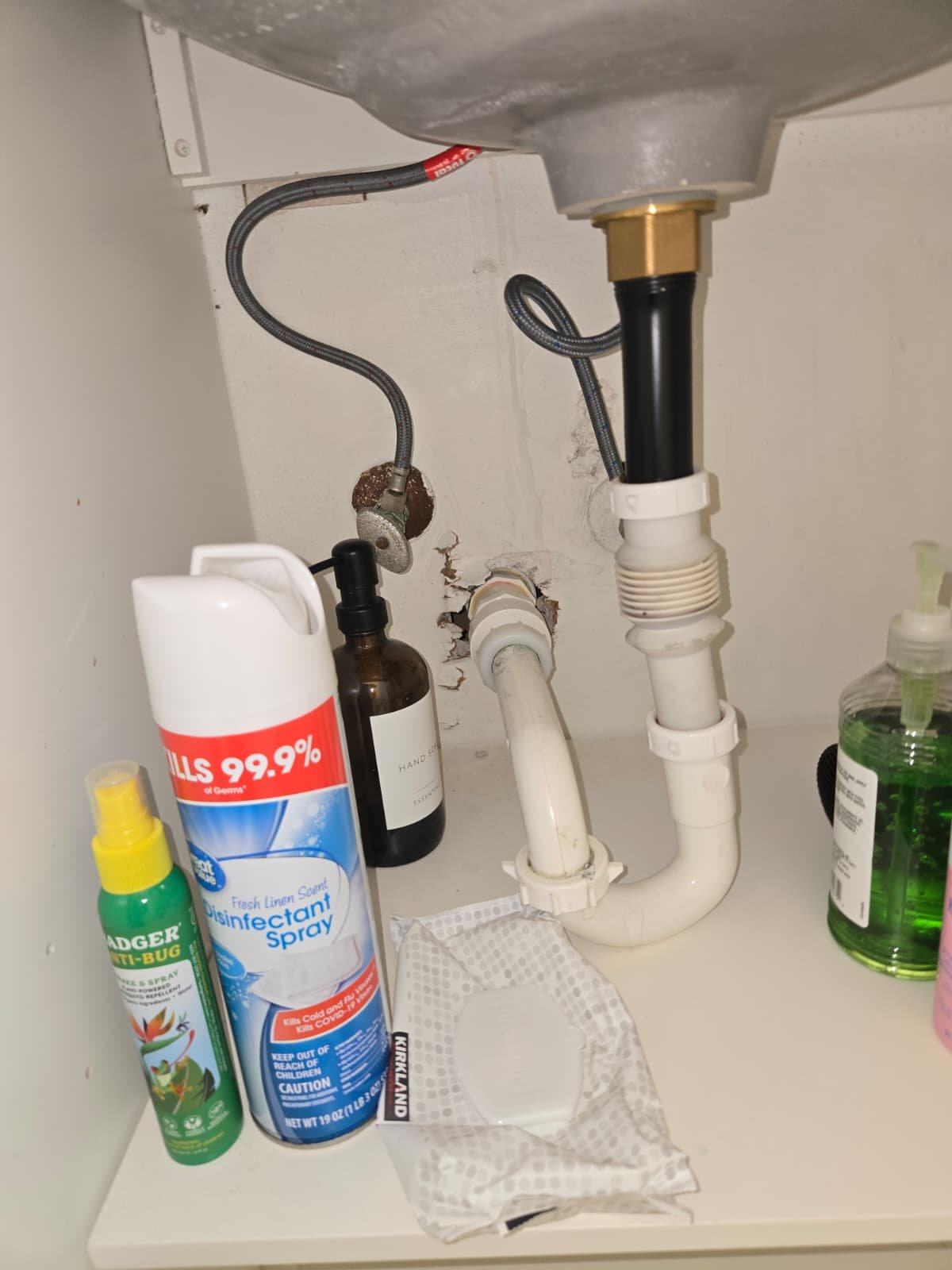 Moen kitchen faucet install in Brandon, FL 33511