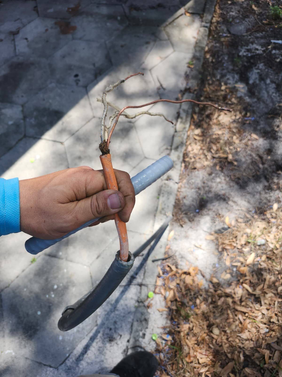 AC disconnect whip installation in St. Petersburg, FL 33712