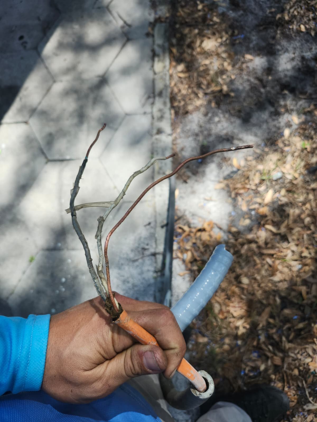 AC short circuit repair in St. Petersburg, FL 33712