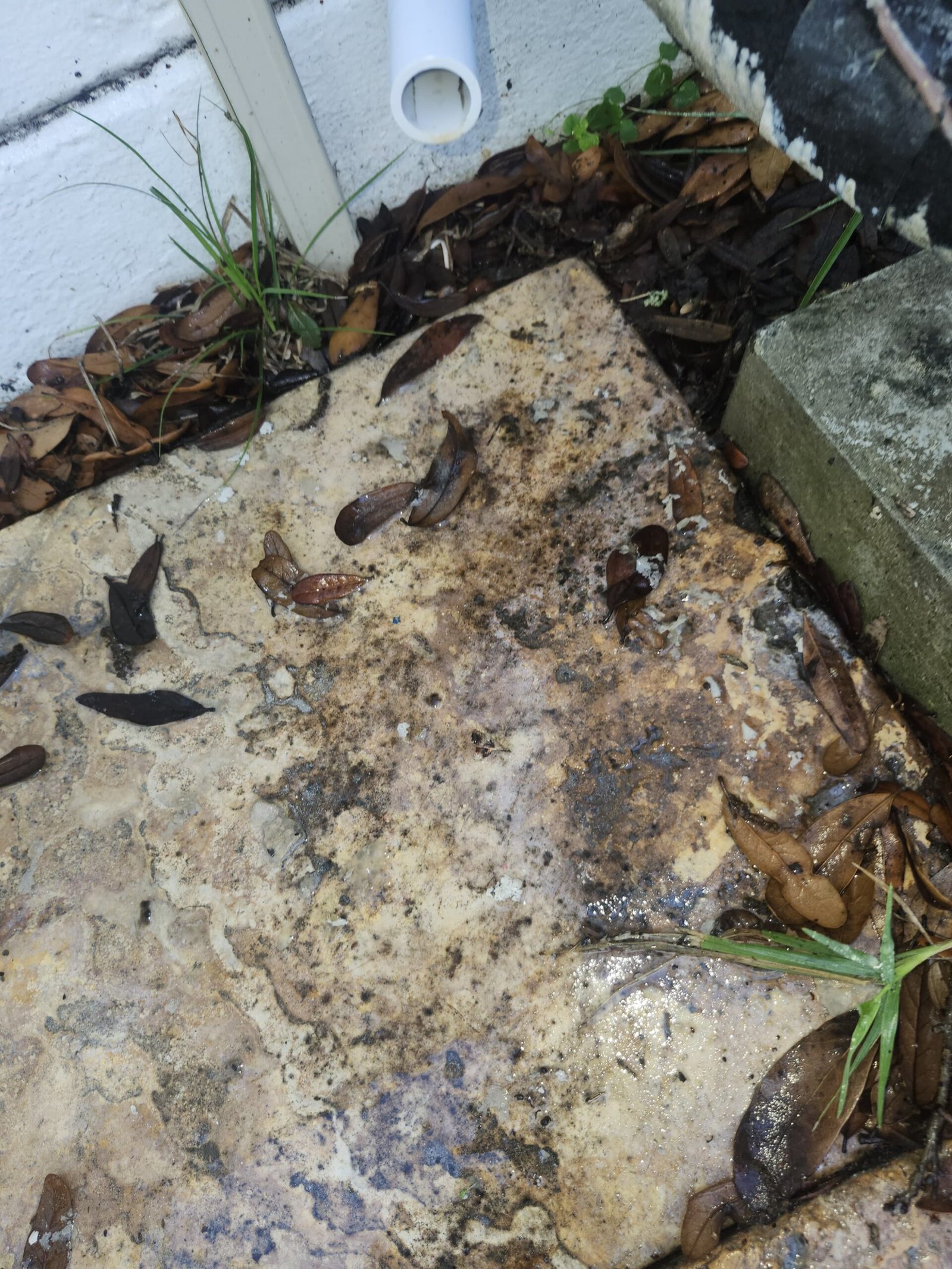 Scheduled HVAC maintenance plan in Tampa, FL 33611