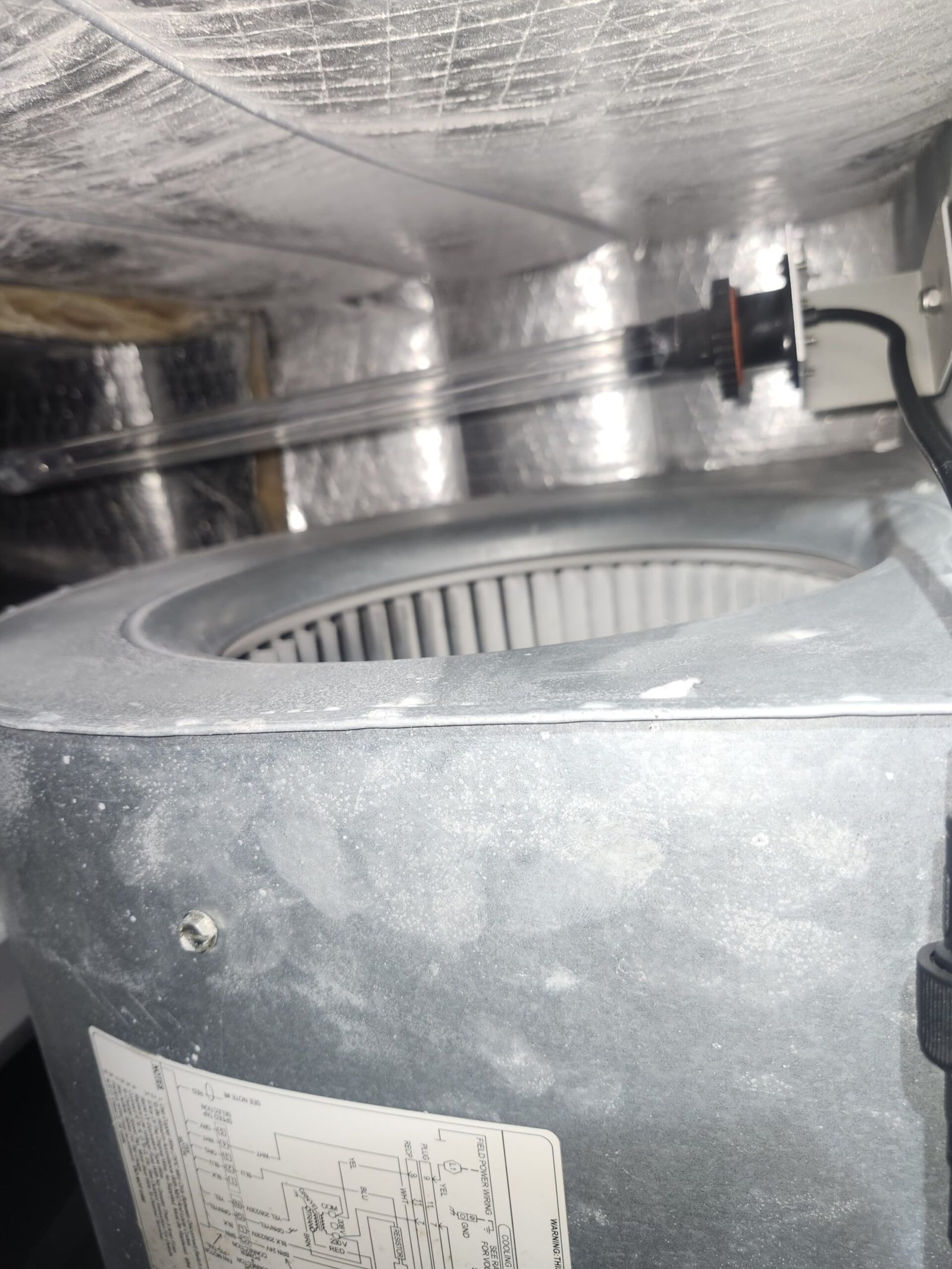 Preventive HVAC service visit in Tampa, FL 33611