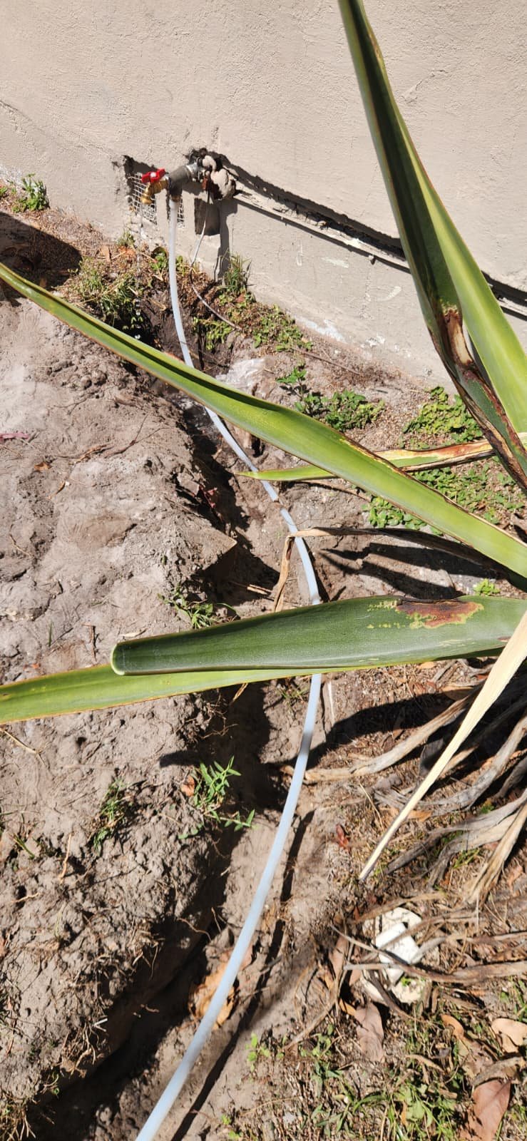 Underground water line replacement in St. Petersburg, FL 33711