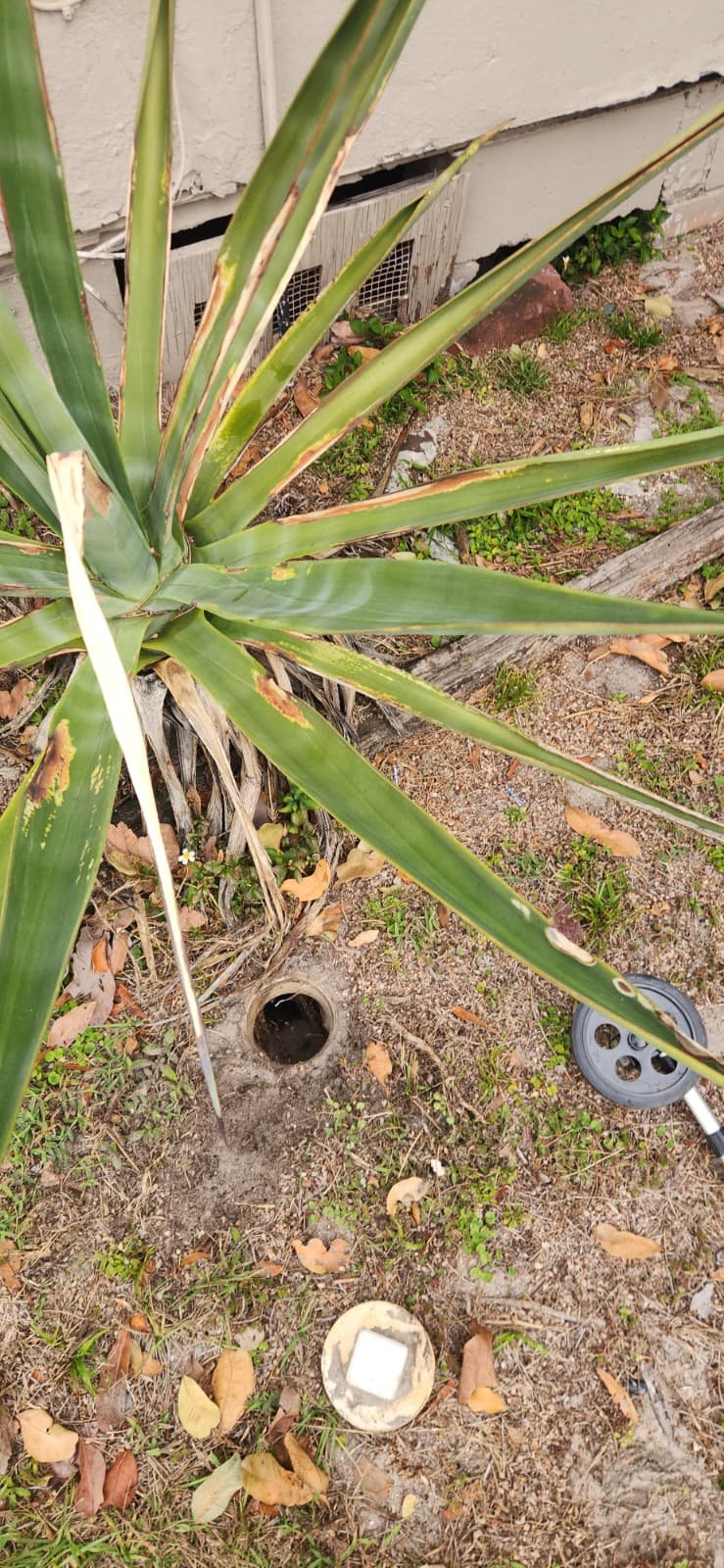 Pipe replacement in St. Petersburg, FL 33711