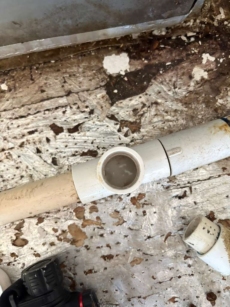 AC tune-up service Seffner, FL 33584