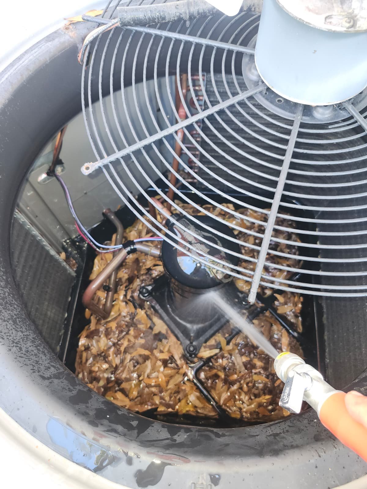AC system repair in St. Petersburg, FL 33712