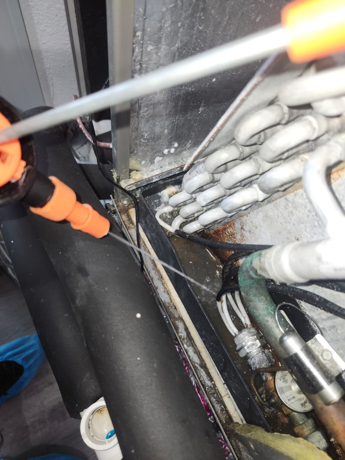 HVAC tune-up in Tampa, FL 33605