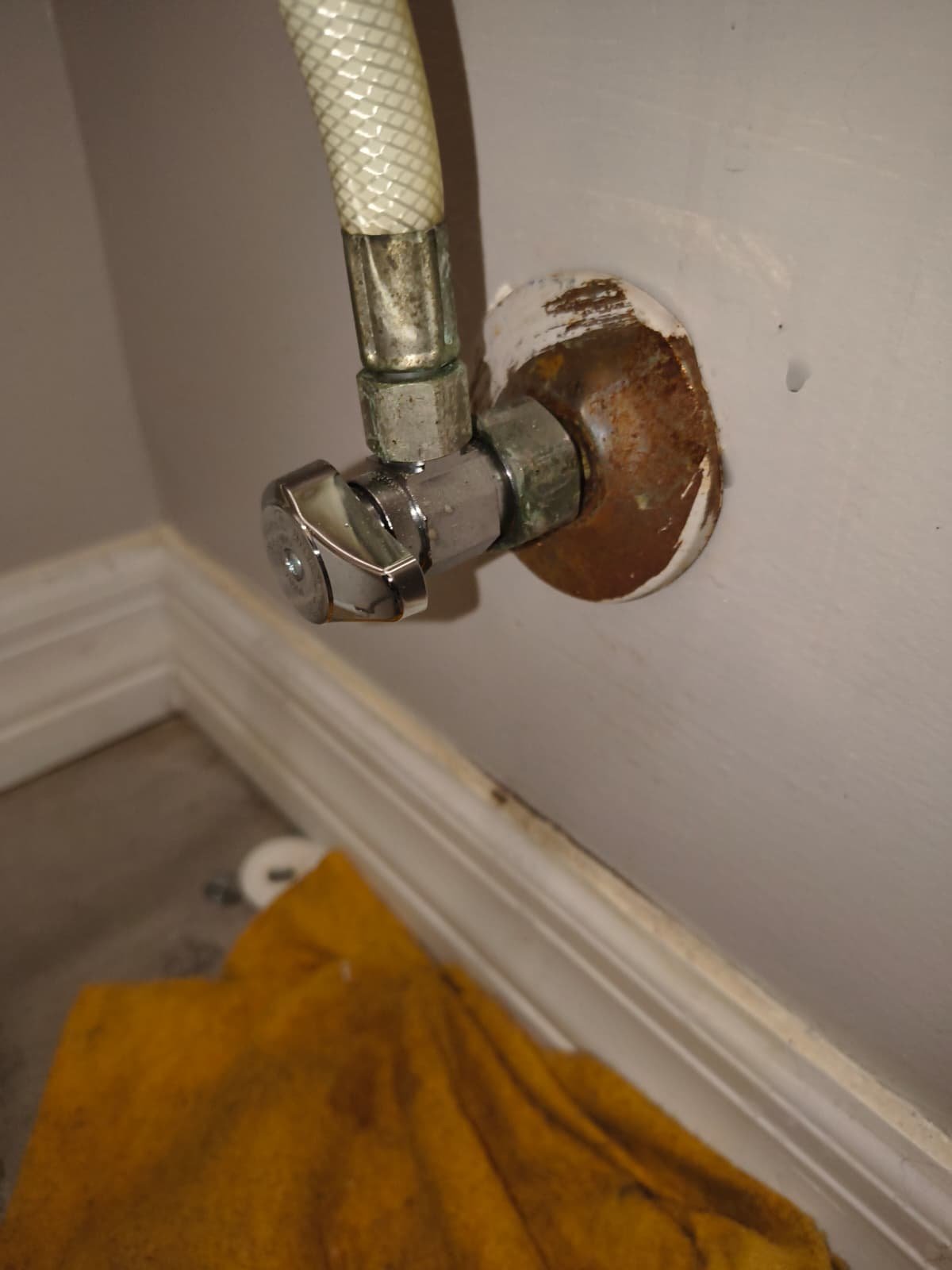 Toilet removal and drain service in Apollo Beach, FL 33572