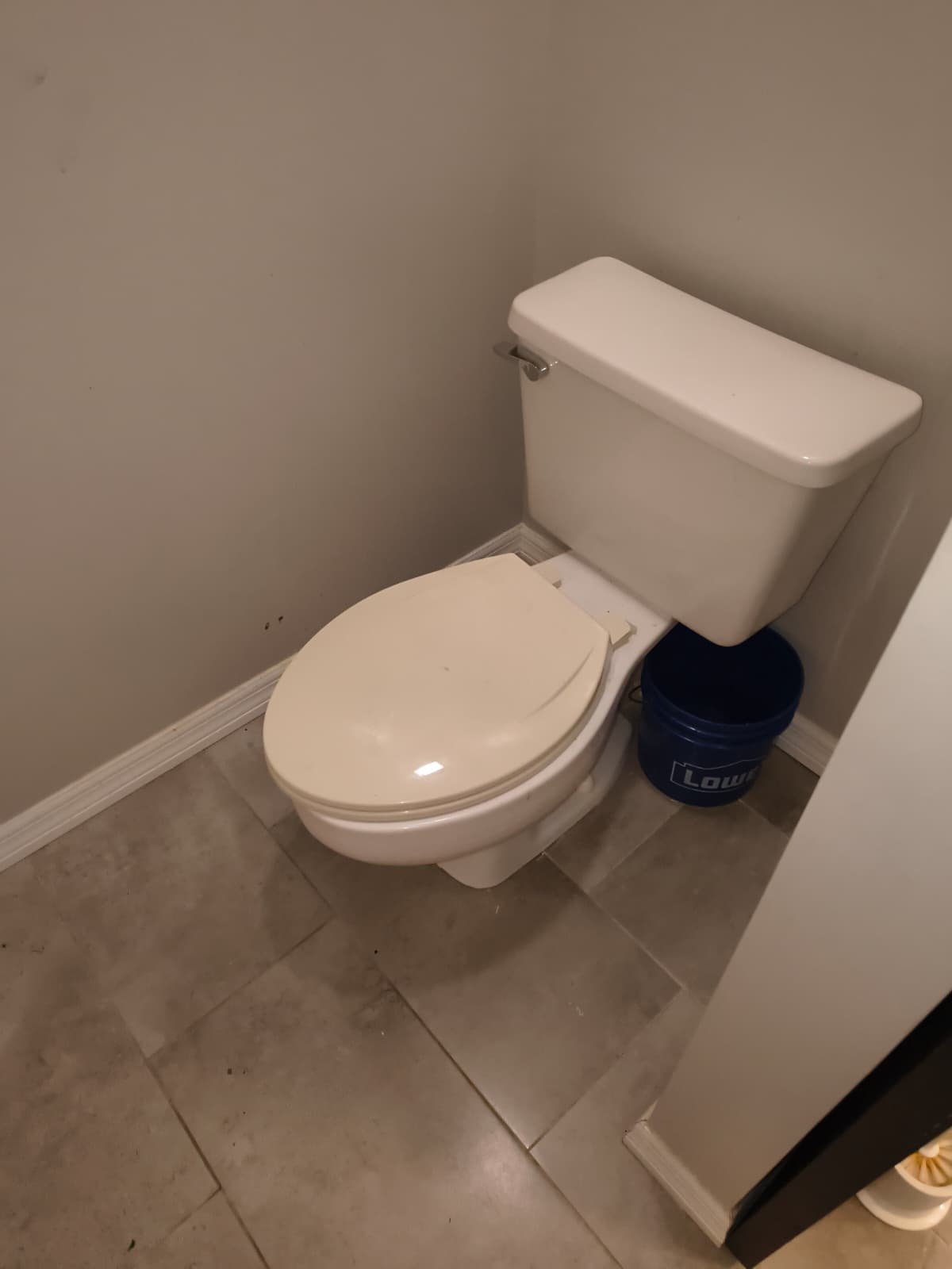 Toilet removal plumbing work in Apollo Beach, FL 33572