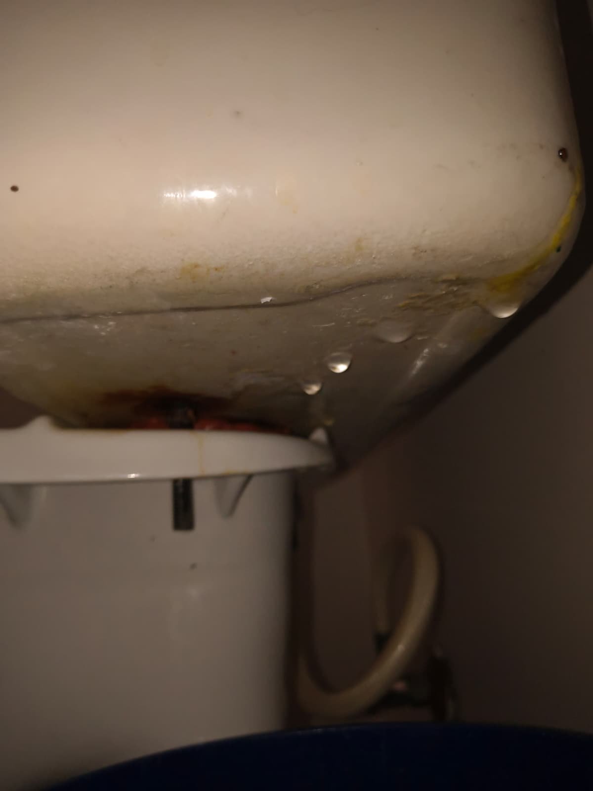 Toilet removal for drain access in Apollo Beach, FL 33572