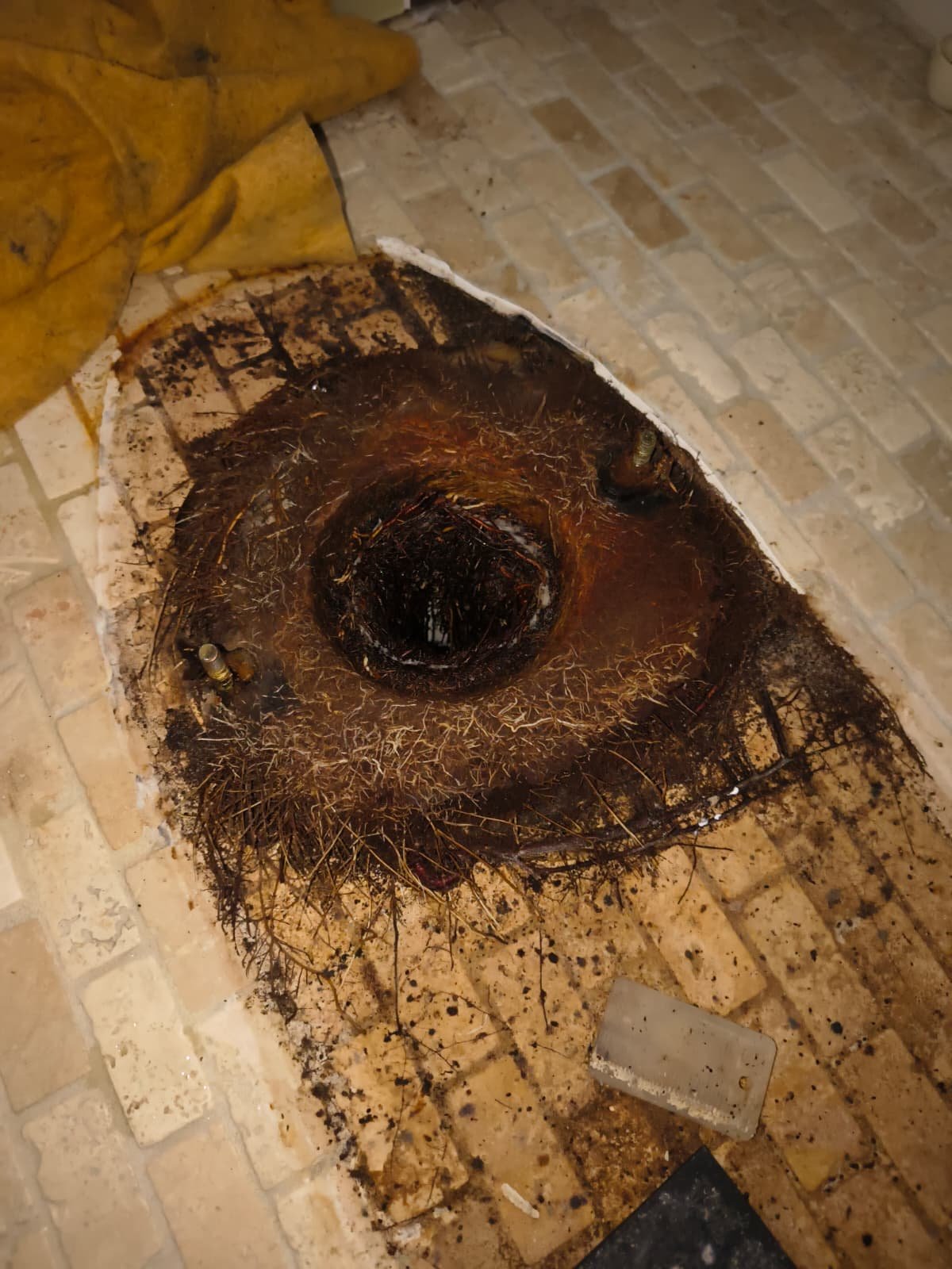 Sewer drain unclogging and valve replacement in Apollo Beach, FL 33572
