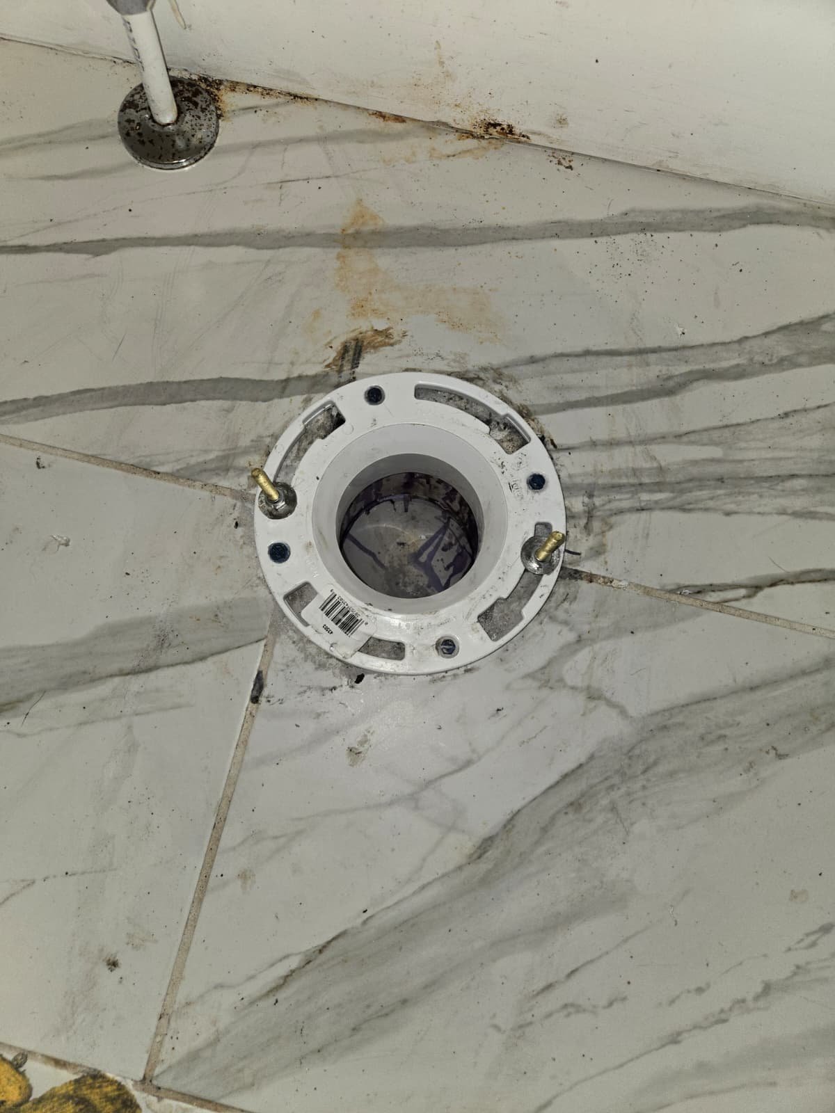 Toilet flange repair in Tampa, FL 33609