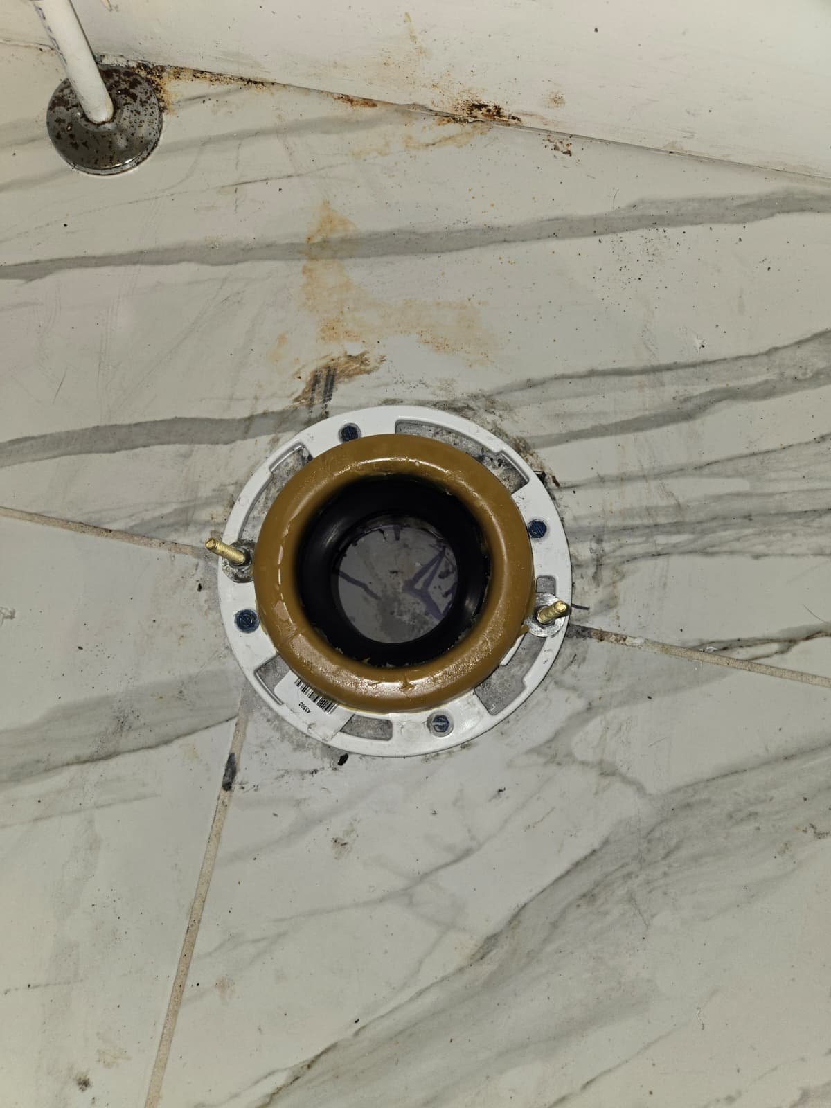 Toilet reset and flange work in Tampa, FL 33609