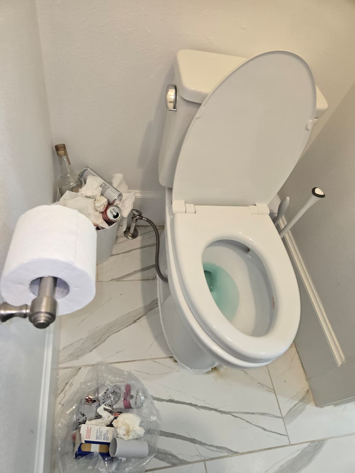 Toilet repair in Tampa, FL 33609