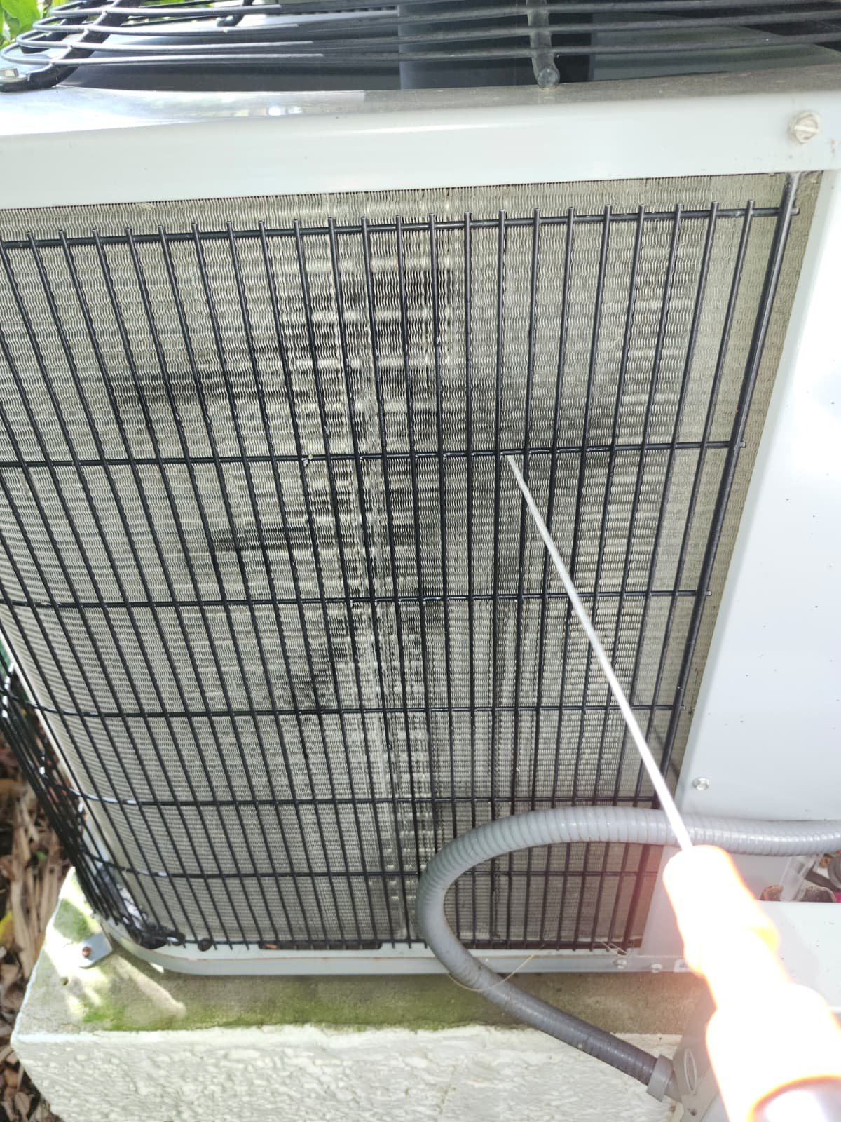 Water heater replacement consultation Tampa, FL 33602