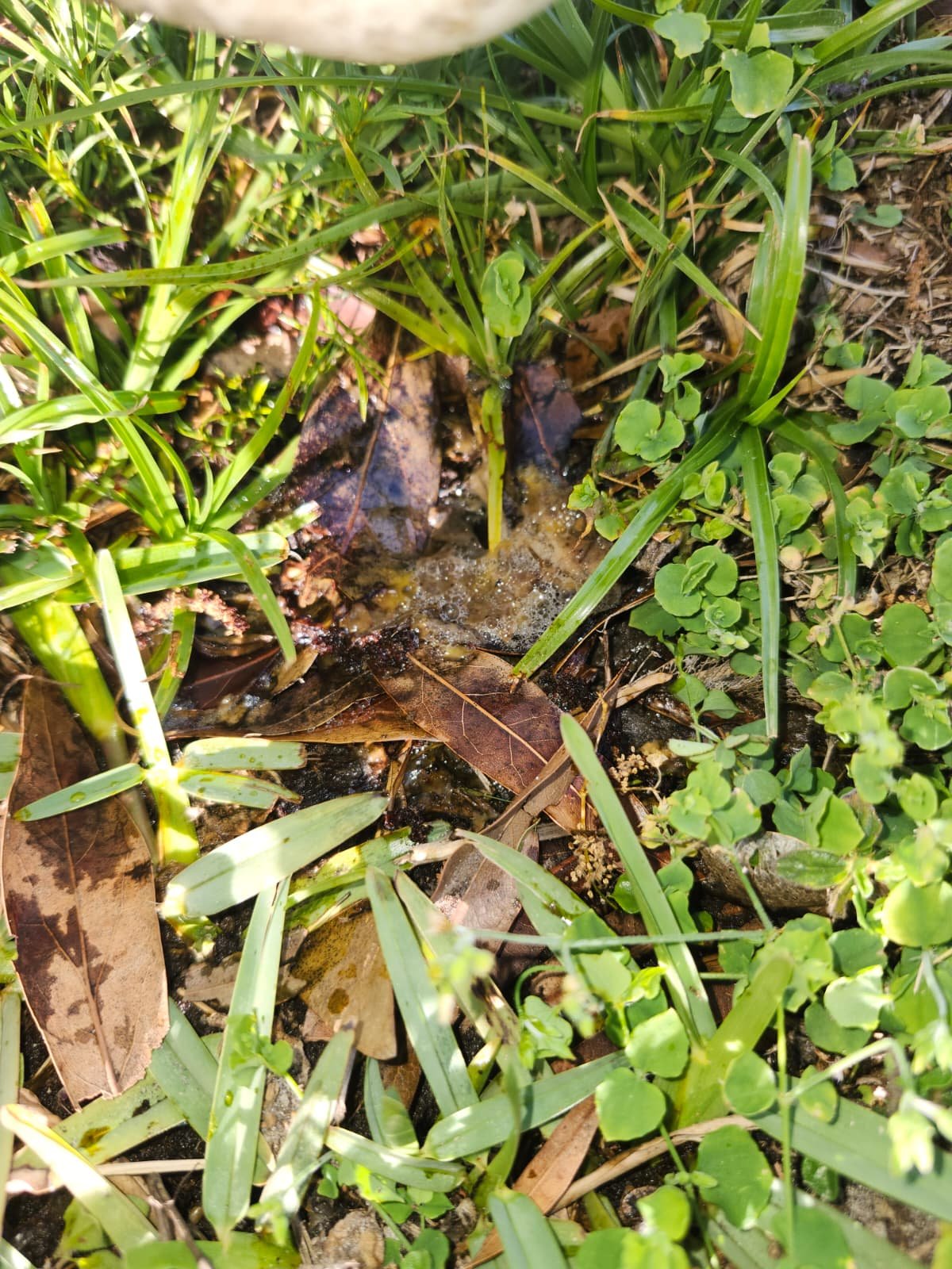 HVAC system inspection and maintenance St. Petersburg, FL 33709