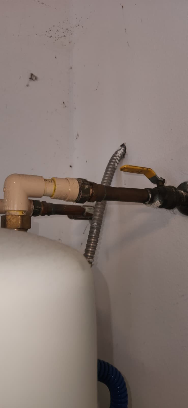 Sediment flushing for water heater in Tampa, FL 33647